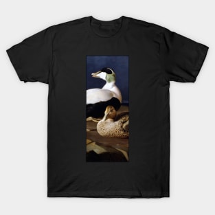 Somateria mollissima by Ferdinand von Wright T-Shirt